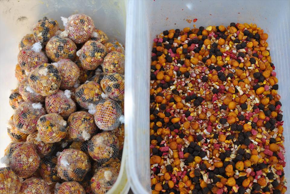 TATA NIŢU castiga tot